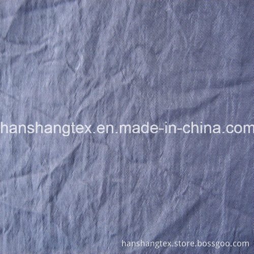 1X2 Crinkled Nylon Oxford Fabric for Garment Fabric (HS-A3042)